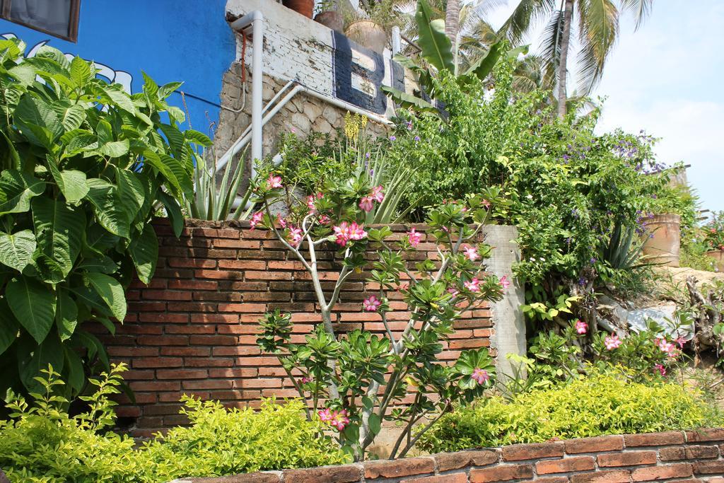 بويرتو إسكونديدو Hotel Buena Vista المظهر الخارجي الصورة